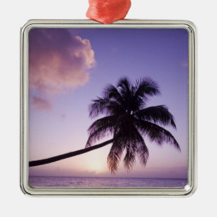 Lone palm tree at sunset, Coconut Grove beach Metal Tree Decoration