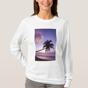 Lone palm tree at sunset, Coconut Grove beach T-Shirt