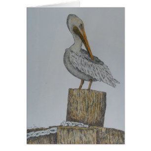 Lone Pelly