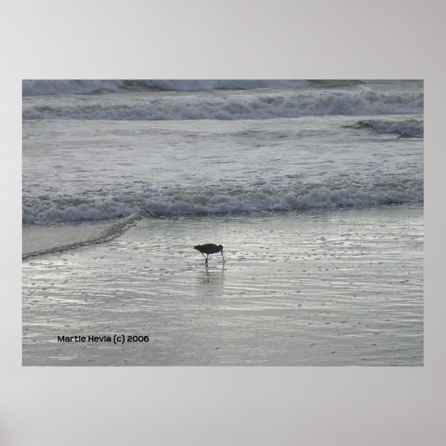 Lone Sandpiper at Watsonville Beach Poster (Front)