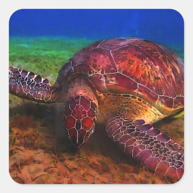 Lone Sea Turtle Sticker (Front)