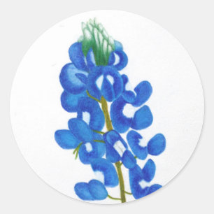 Lone Star Bluebonnet Sticker