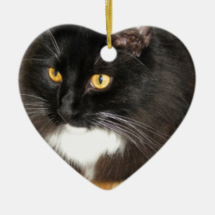 Lone Star Cat Perching on a Table, photograph Ceramic Tree Decoration