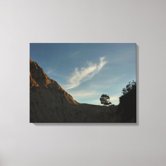 Lone Torrey Pine California Sunset Landscape Canvas Print
