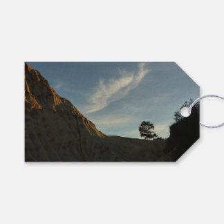 Lone Torrey Pine California Sunset Landscape Gift Tags