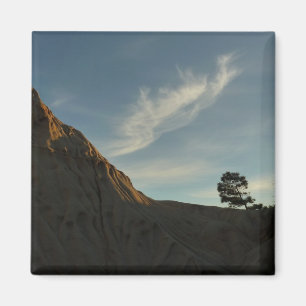 Lone Torrey Pine California Sunset Landscape Magnet