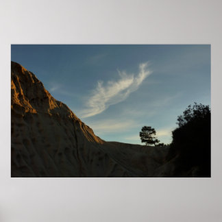 Lone Torrey Pine California Sunset Landscape Poster