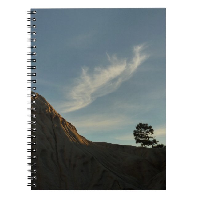 Lone Torrey Pine California Sunset Landscape Spiral Notebook (Front)