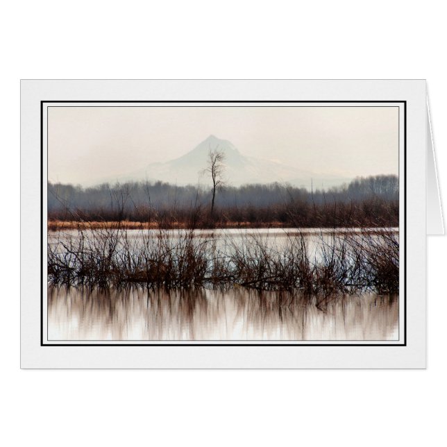 Lone Tree (Front Horizontal)