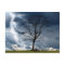 Lone tree and lightning