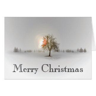 Lone Tree Christmas Card