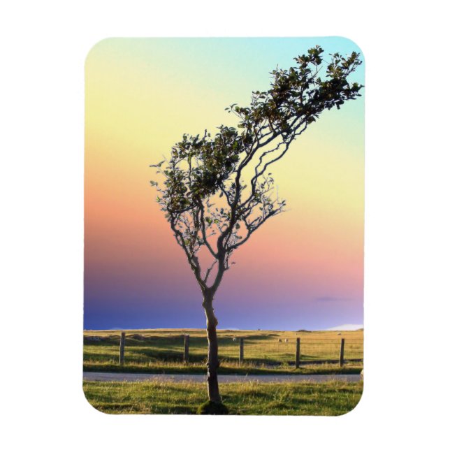 LONE TREE   MAGNET (Vertical)