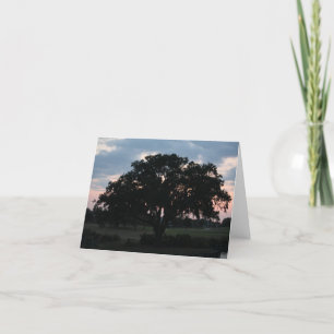 Lone Tree Notecard
