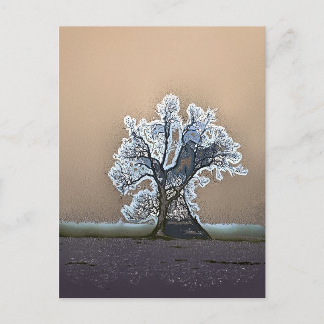 LONE TREE POSTCARD (Front)