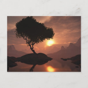 Lone Tree Postcard