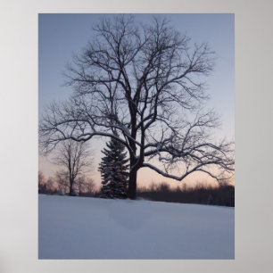 Lone Tree Poster