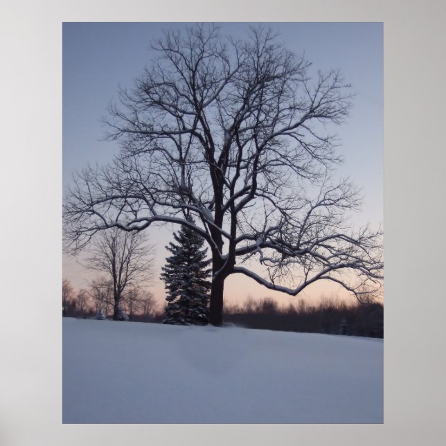Lone Tree Poster (Front)