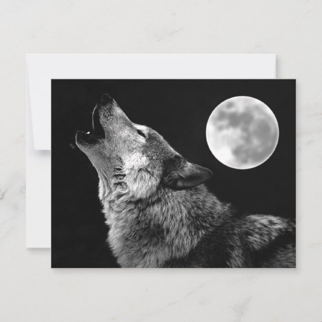 Lone Wolf Howling at Moon Card (Front)