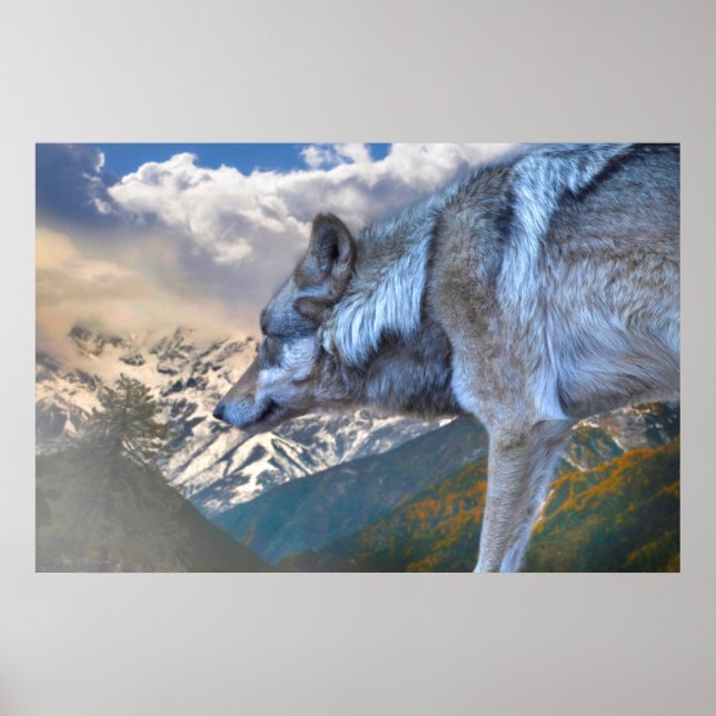 LONE WOLF OVERLORD OF FREEDOM POSTER (Front)