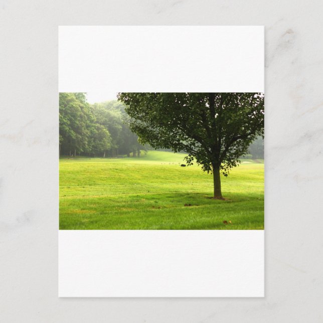 Lone Wolf Postcard (Front)