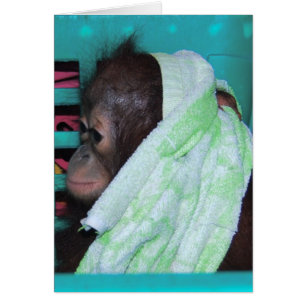 Lonely Baby Orangutan