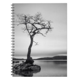 Lonely Bare Tree Notebook