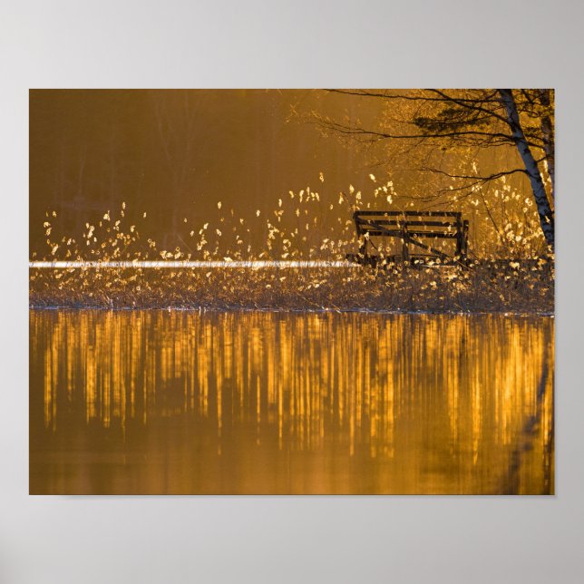 Lonely bench by the lake in the golden light poster (Front)