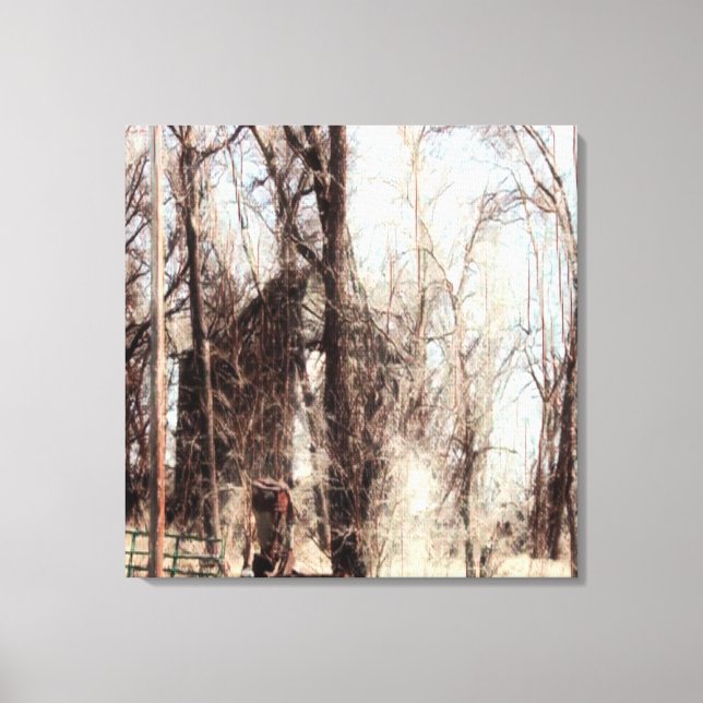 Lonely Canvas Print (Front)