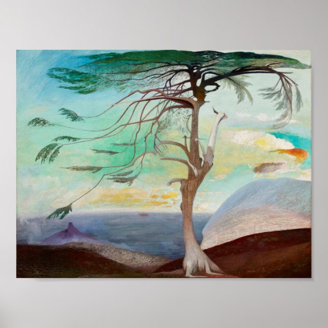 Lonely Cedar Tree Landscape Painting Poster (Front)