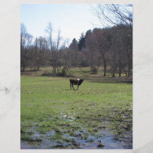 Lonely Cow