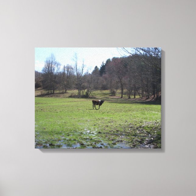 Lonely Cow Canvas Print (Front)