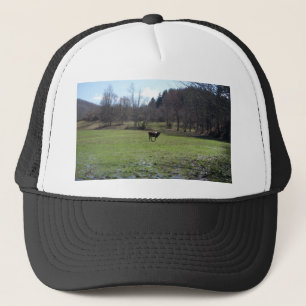 Lonely Cow Trucker Hat