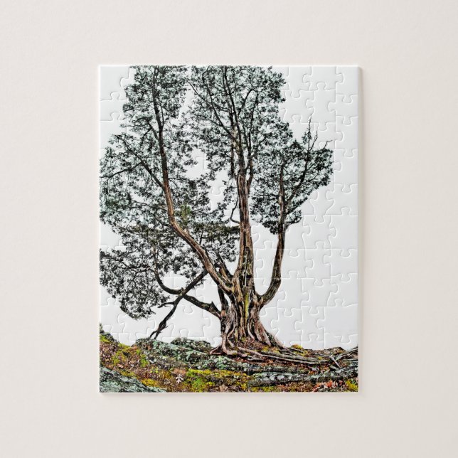 Lonely Cypress Jigsaw Puzzle (Vertical)
