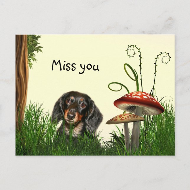 Lonely Dachshund Postcard (Front)