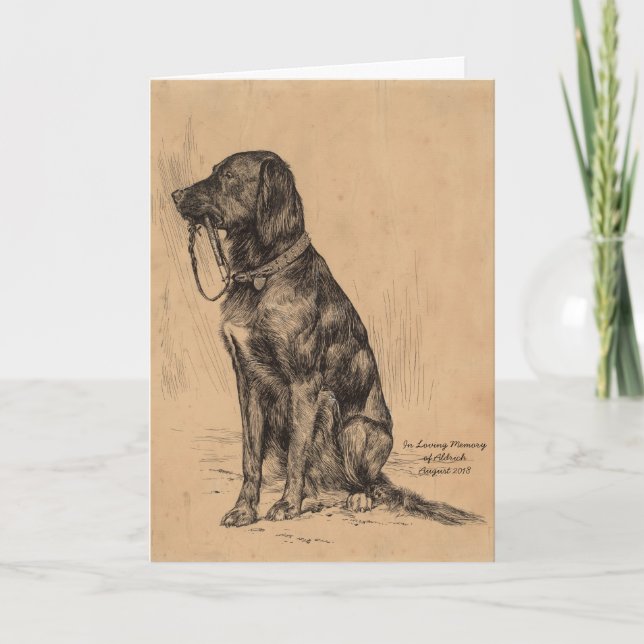 Lonely Dog holding his own leash, Sympathy Pet Card (Front)