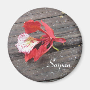 Lonely Flame Tree Blossom On A Boardwalk Magnet