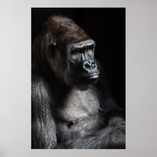 Lonely Gorilla Poster