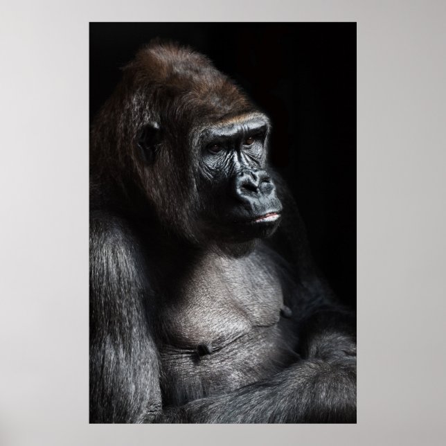 Lonely Gorilla Poster (Front)