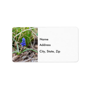 Lonely Grape Hyacinth Label