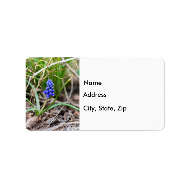 Lonely Grape Hyacinth Label (Front)