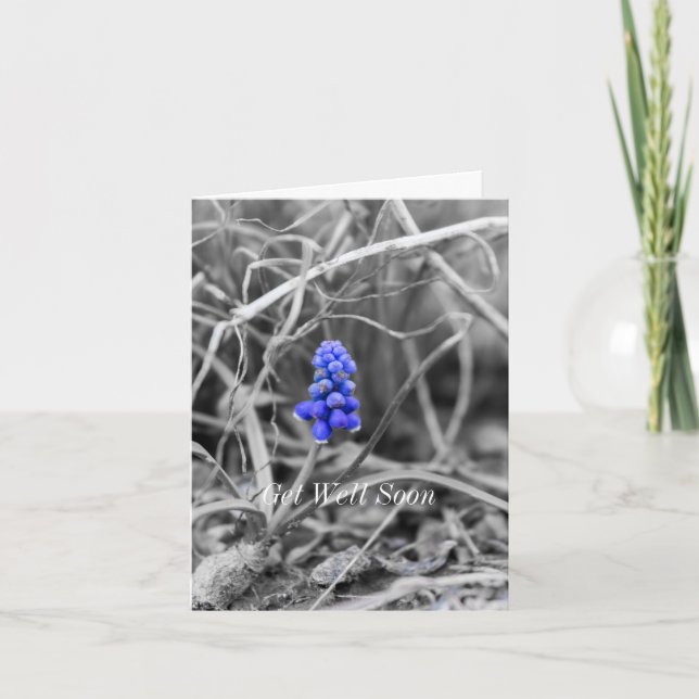 Lonely Grape Hyacinth Select Colour Get Well Card (Front)