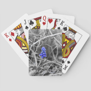 Lonely Grape Hyacinth Select Colour Playing Cards