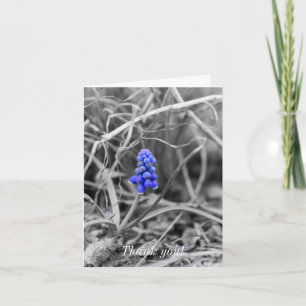 Lonely Grape Hyacinth Select Colour Thank You Card