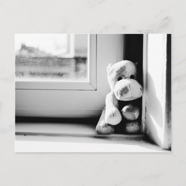 Lonely Hippo Vintage Postcard (Front)