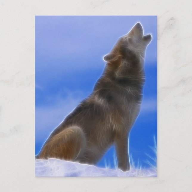 Lonely Howling Endangered Grey Wolf Postcard (Front)