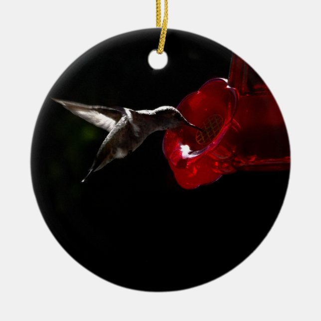 Lonely Hummingbird Ceramic Tree Decoration (Front)