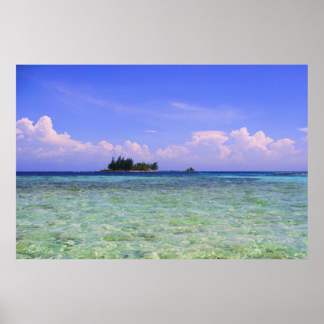 Lonely Island Poster (Front)