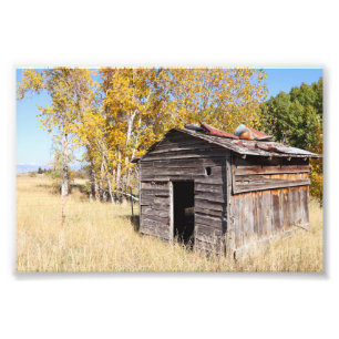 Lonely Little Shed  Photo Print