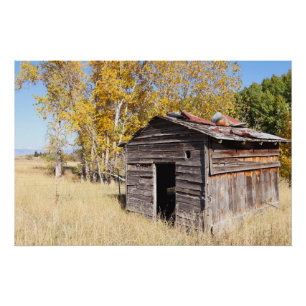Lonely Little Shed  Poster