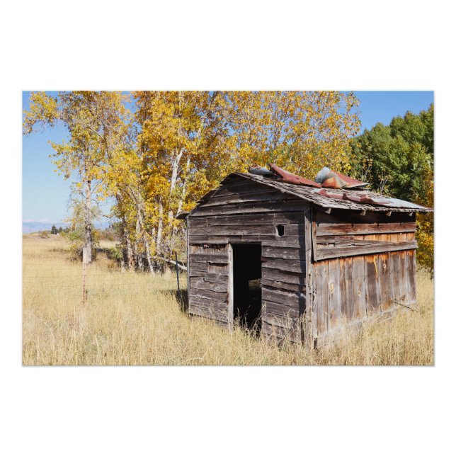 Lonely Little Shed  Poster (Front)